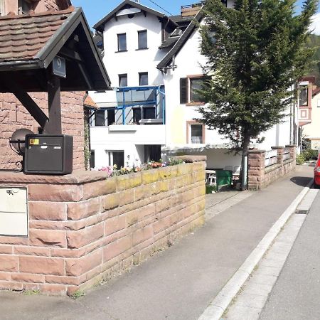Grosse Wohnung Im Odenwald 1 Schonau  Kültér fotó