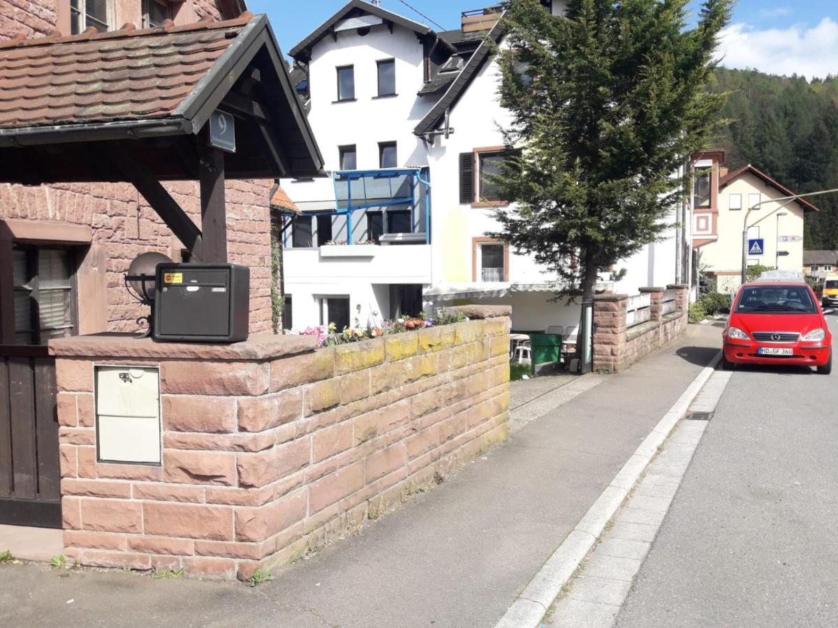 Grosse Wohnung Im Odenwald 1 Schonau  Kültér fotó